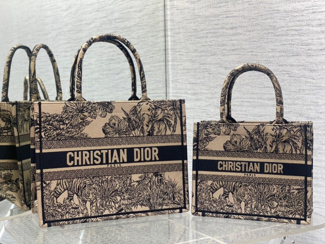 Dior Book Tote