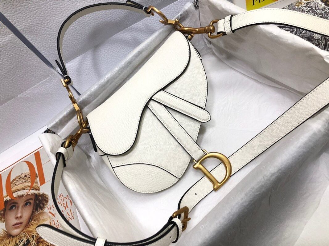 Dior Saddle Bag