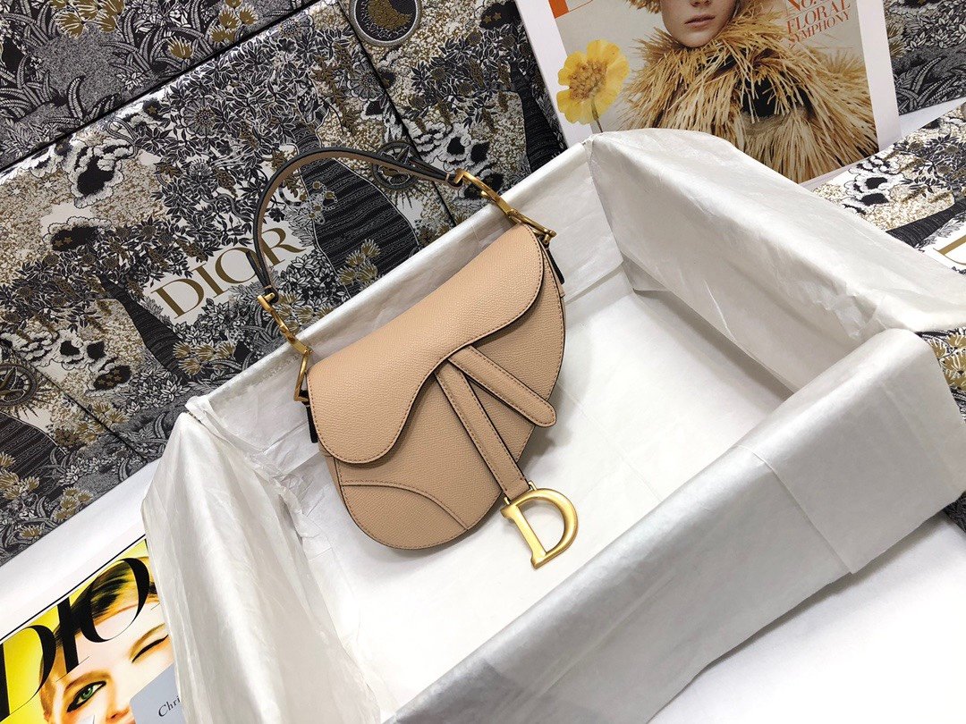 Dior Saddle Bag