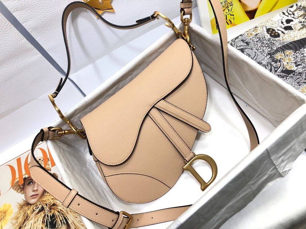 Dior Saddle Bag