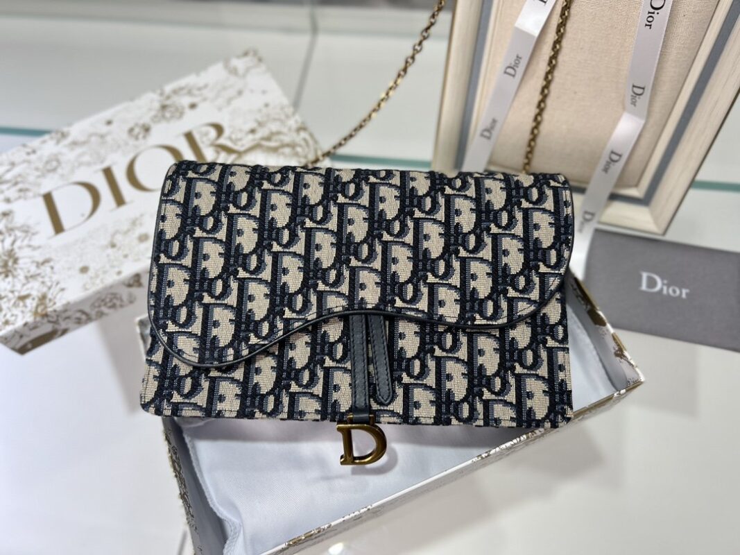 Dior Presbyopia Canvas Chain Bag