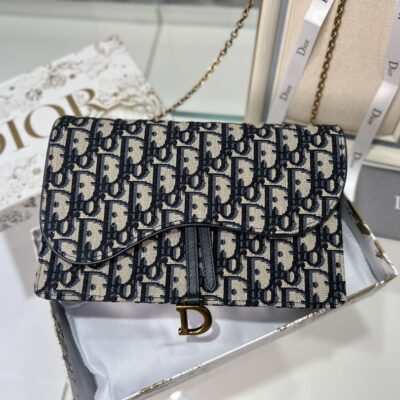 Dior Presbyopia Canvas Chain Bag