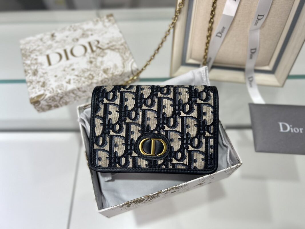 Dior Montaigne WOC Bag