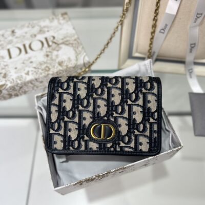 Dior Montaigne WOC Bag