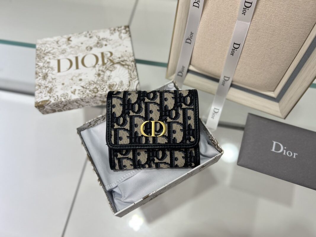 Dior Presbyopia Purse