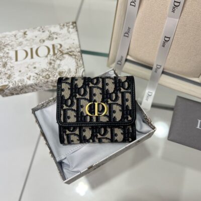 Dior Presbyopia Purse
