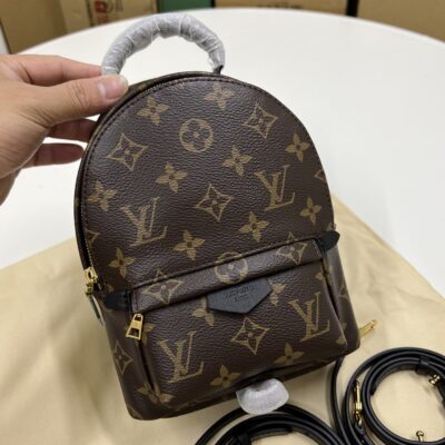 Louis Vuitton Small Backpack