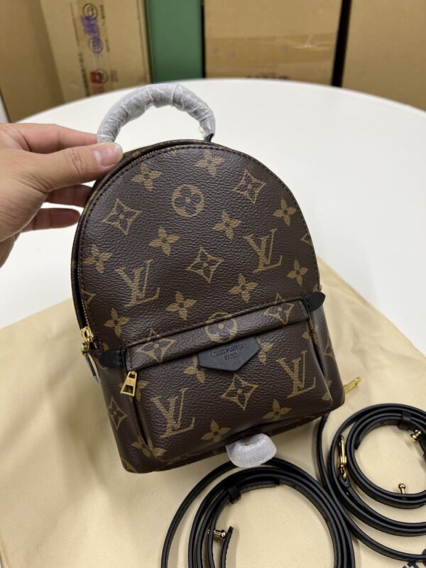 Louis Vuitton Small Backpack