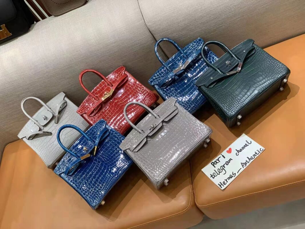 Birkin 25 Crocodile Collection