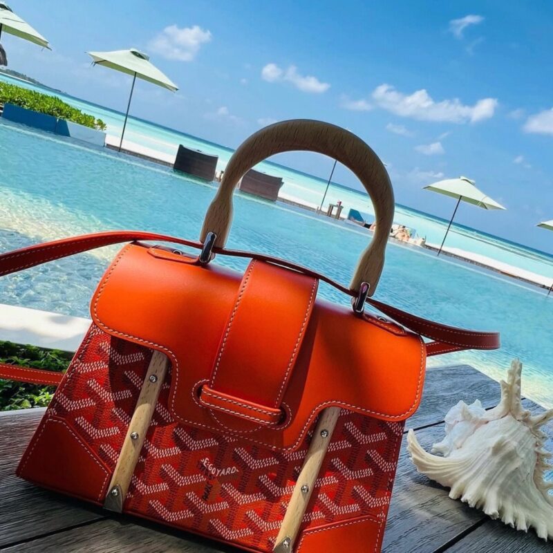 Goyard Saïgon Structuré Mini Bag Limited Edition