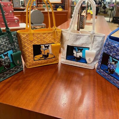 Goyard Anjou Mini Bag Collection