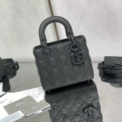 Dior Matte Leather Mini Bag