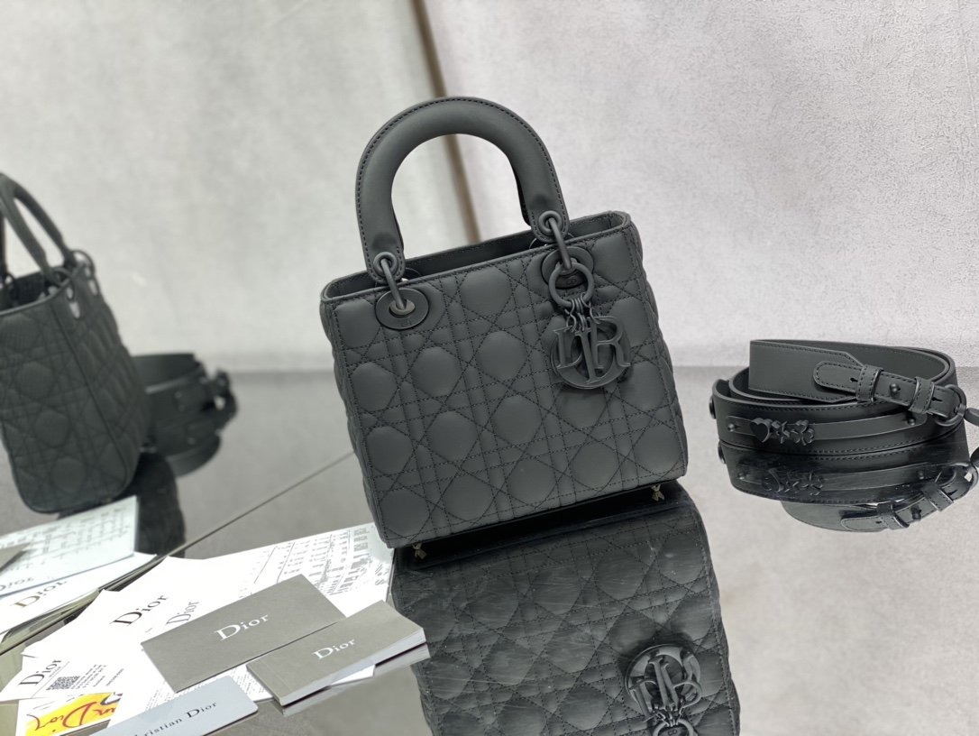 Dior Matte Leather Mini Bag