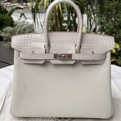 Birkin Touch 25 in Craie Togo & Croco