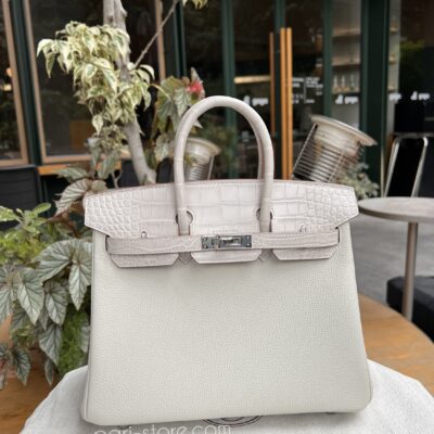 Birkin Touch 25 in Craie Togo & Crocodile