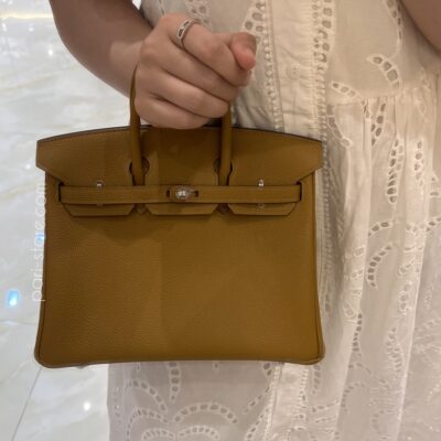 Birkin 25 in Brown Togo PHW