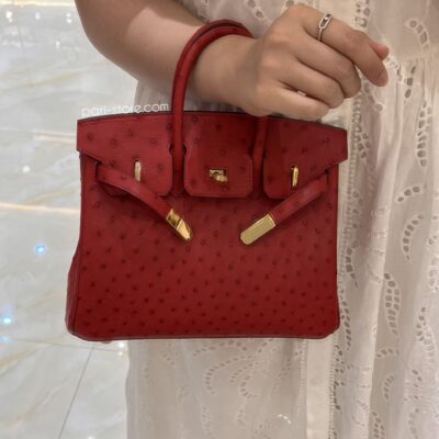 Birkin 25 in Red Ostrich GHW