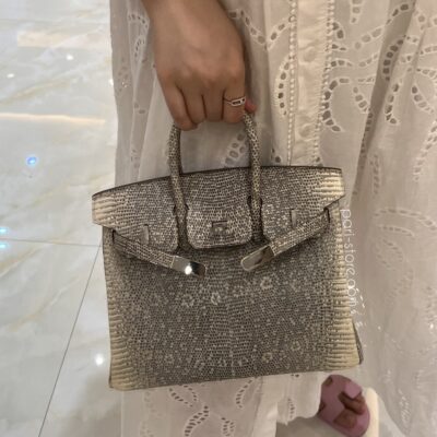 Birkin 25 in Ombre Lizard PHW