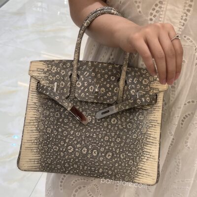 Birkin 30 in Ombre Lizard PHW
