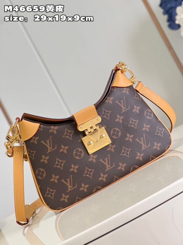 Louis Vuitton Handbag