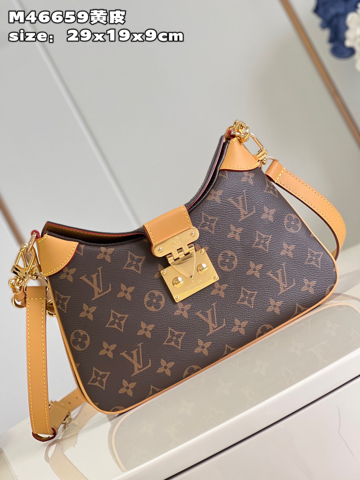 Louis Vuitton Handbag