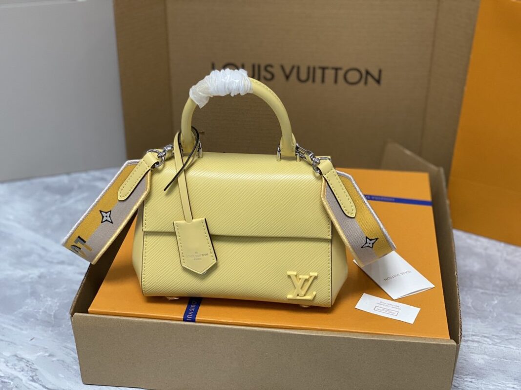 Louis Vuitton Cluny Mini Handbag
