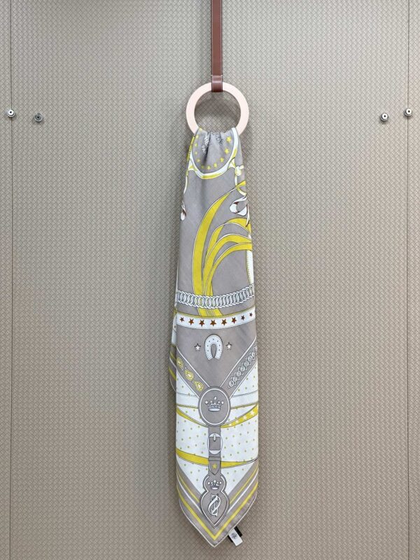 Hermes Morning Walk Scarf