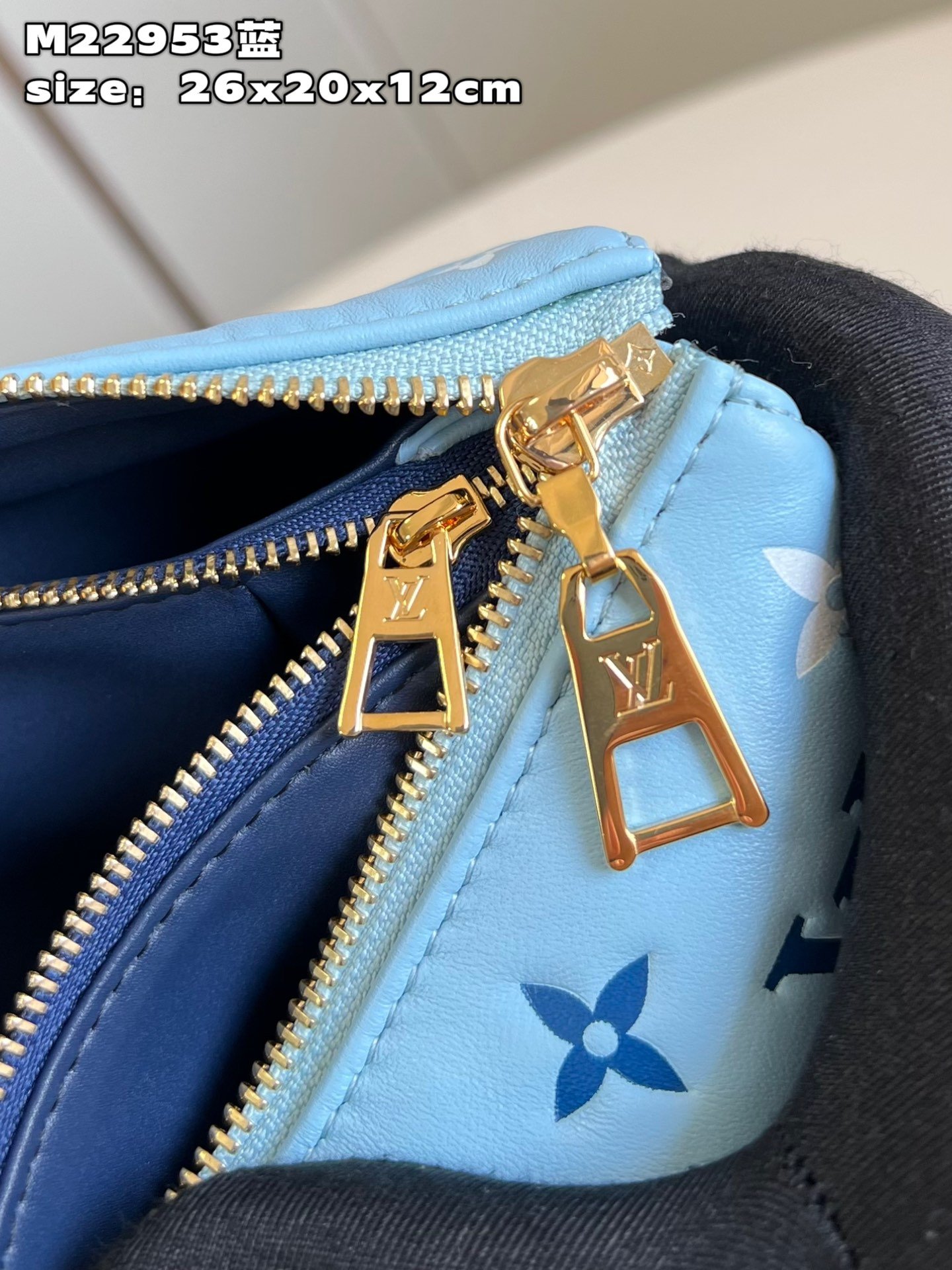 Louis Vuitton Coussin Small Handbag - Image 9