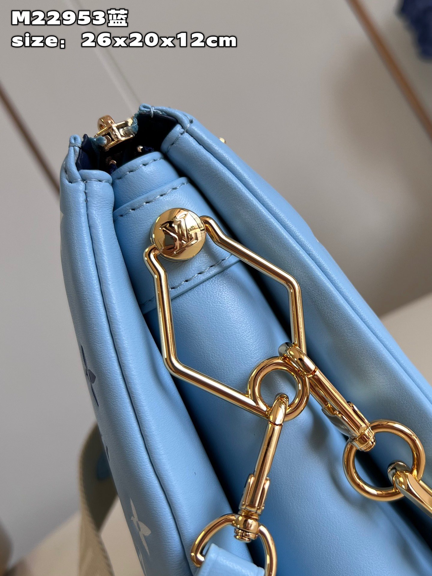 Louis Vuitton Coussin Small Handbag - Image 7