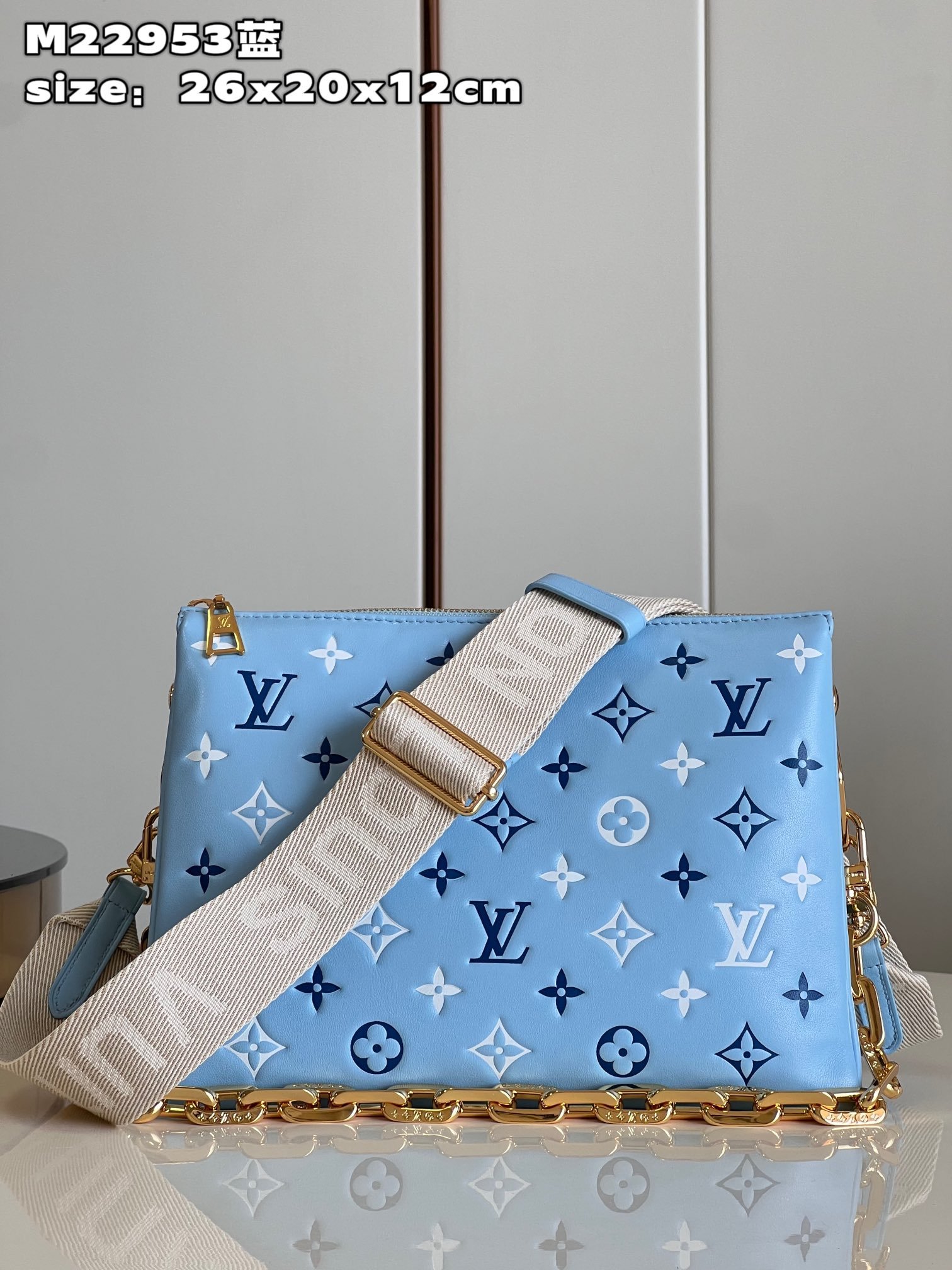 Louis Vuitton Coussin Small Handbag