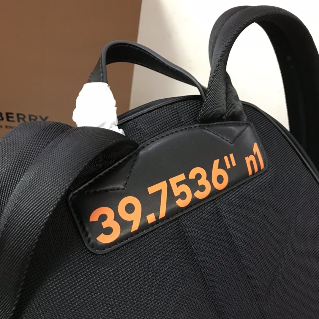 Burberry Backpack - Image 9