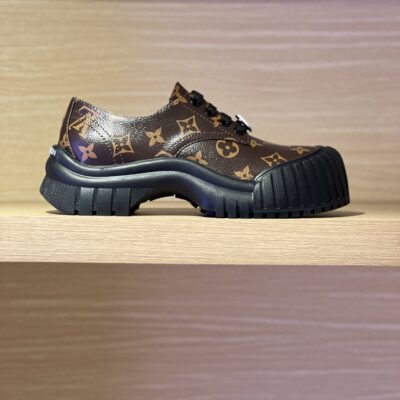Louis Vuitton 2023 New Shoes