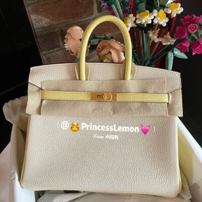 Birkin 25 Jaune Poussin & Beton Togo GHW