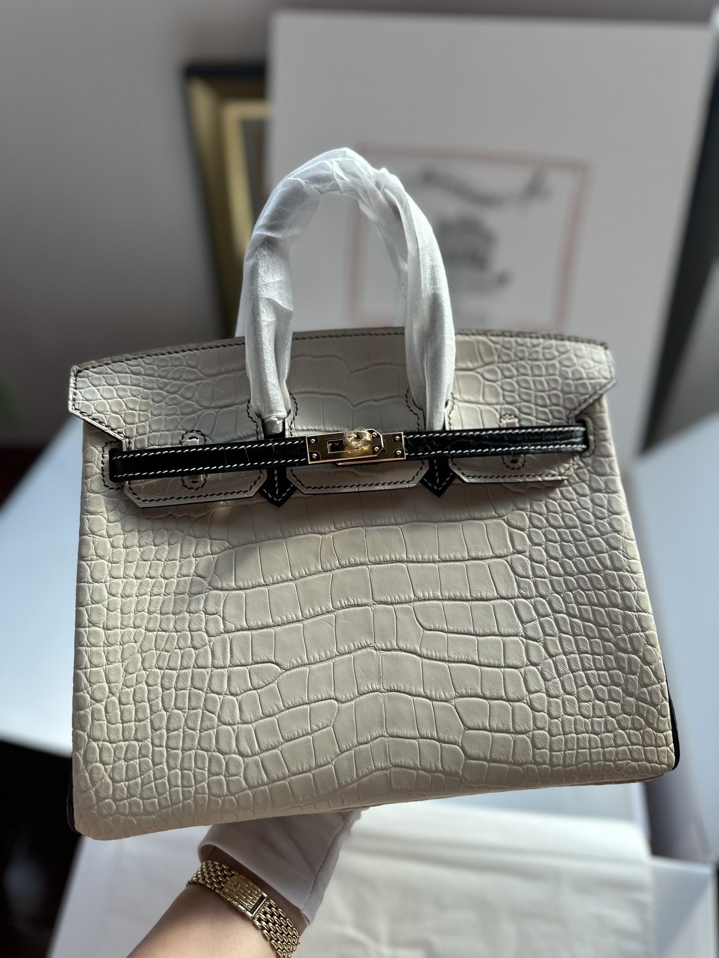 78110.jpg Birkin 25 Matte Crocodile - Image 1