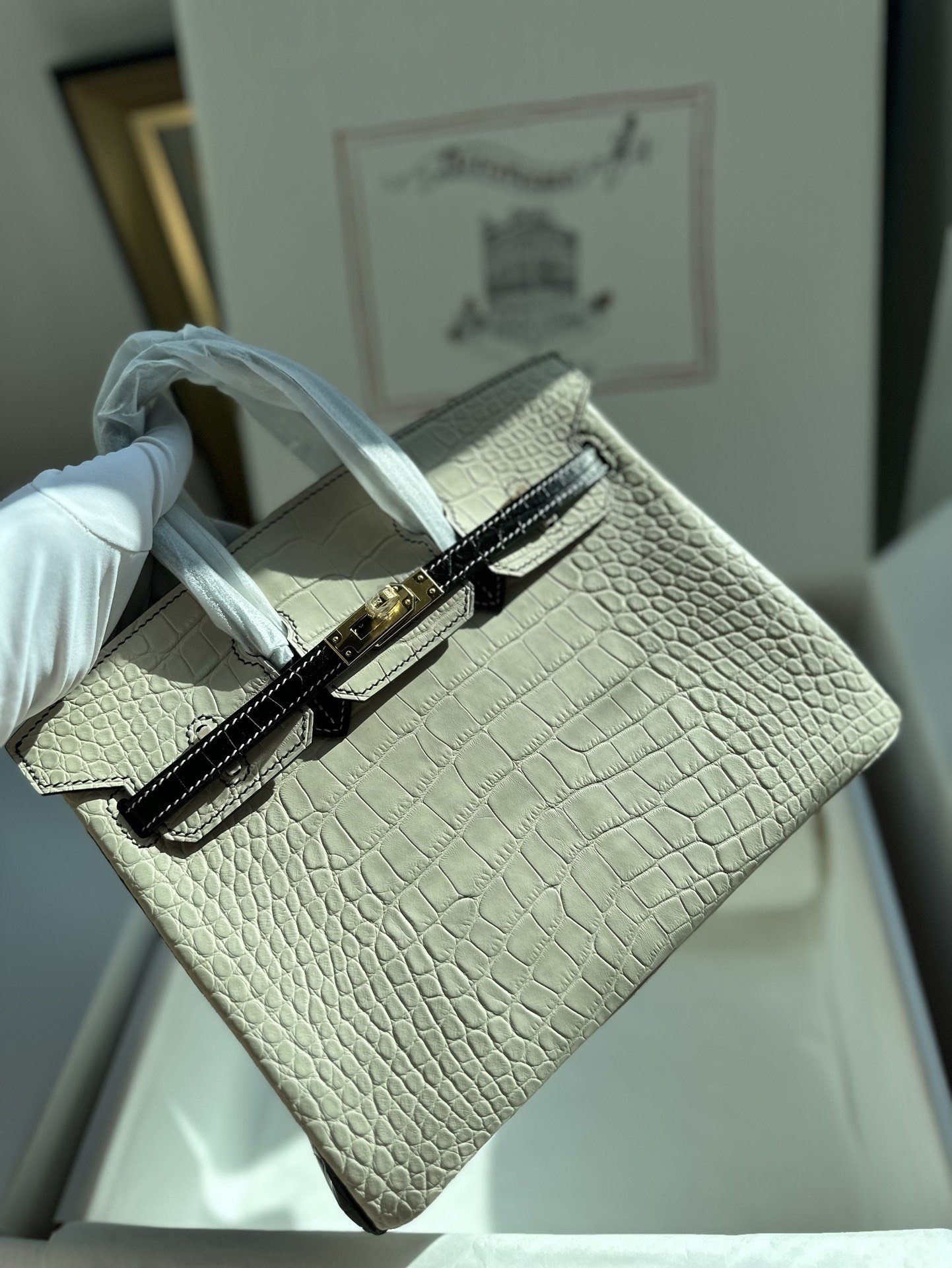 78117.jpg Birkin 25 Matte Crocodile - Image 1