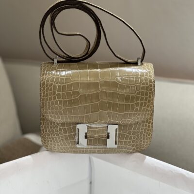 Constance 18 Shiny Crocodile