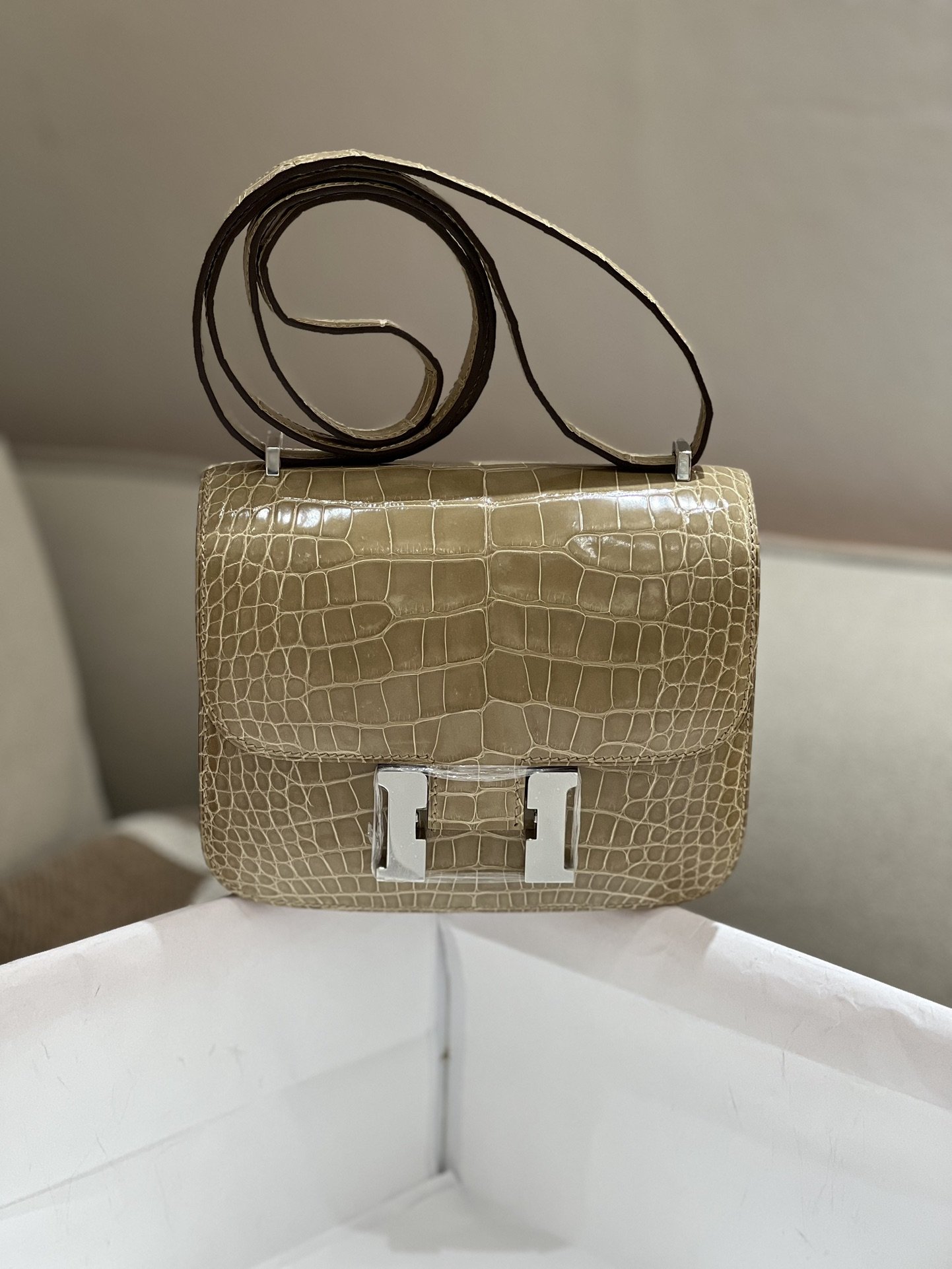 Constance 18 Shiny Crocodile