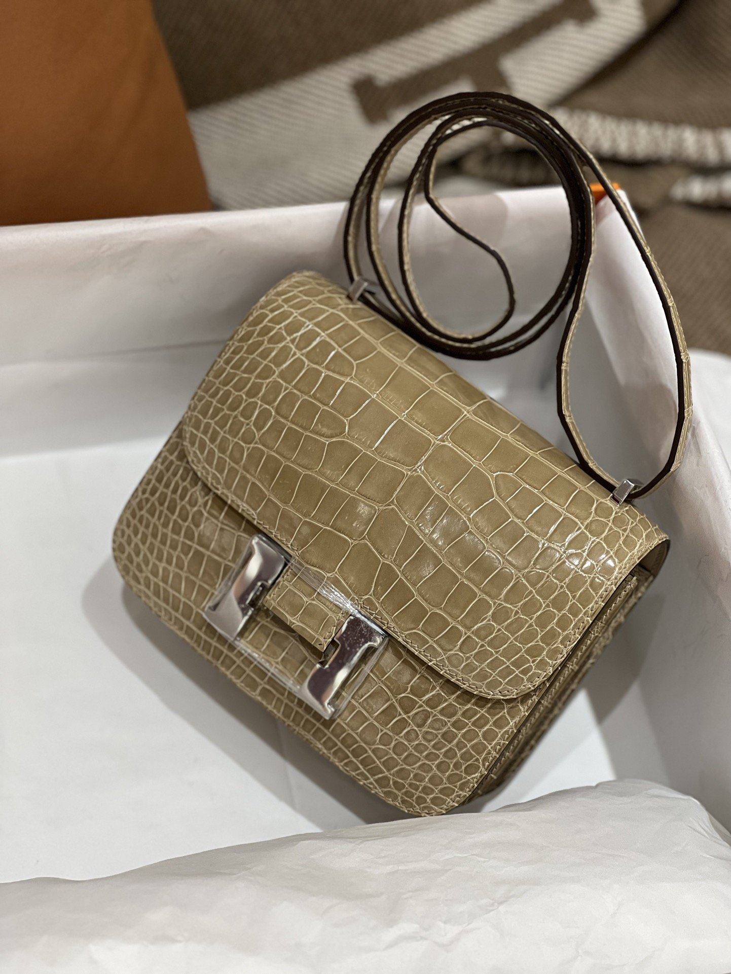 Constance 18 Shiny Crocodile - Image 3