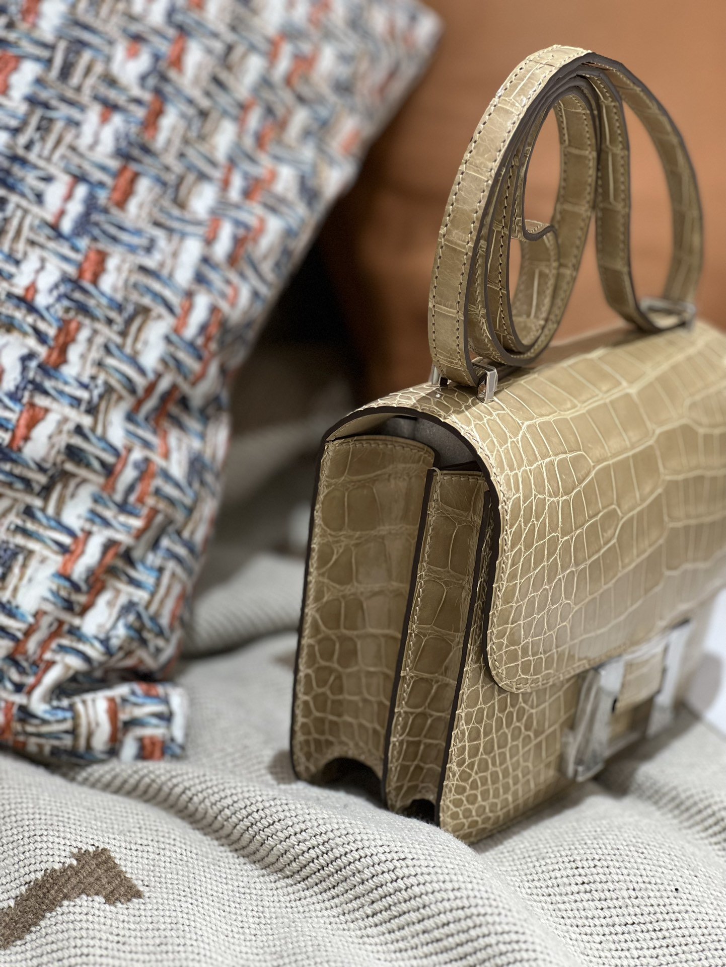 Constance 18 Shiny Crocodile - Image 6
