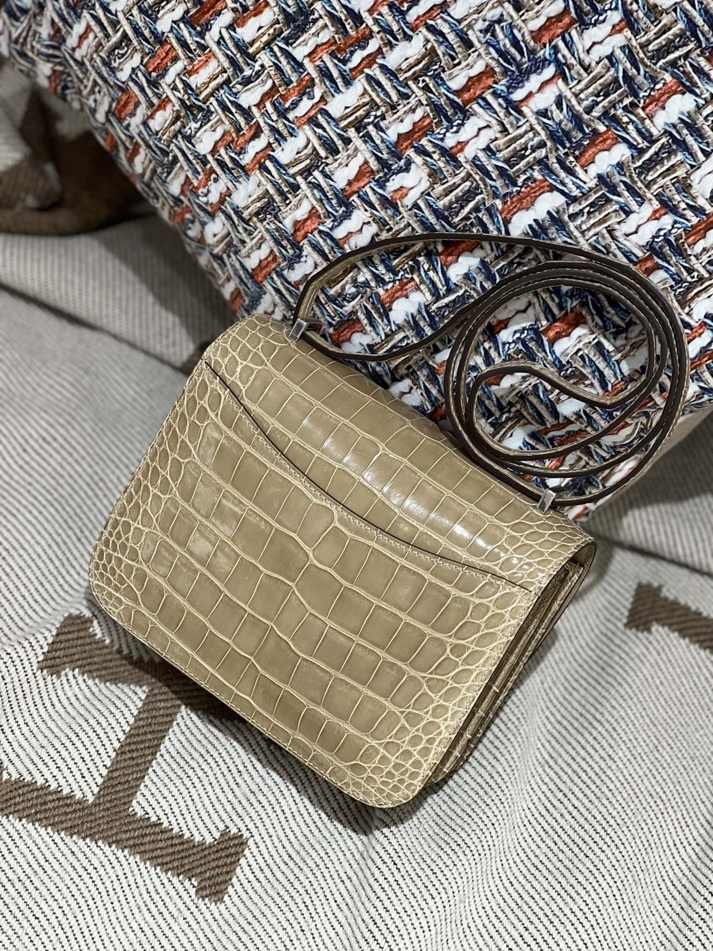 Constance 18 Shiny Crocodile - Image 2