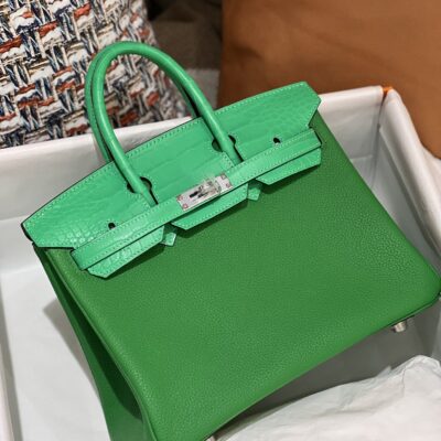 Birkin Touch 25 Togo & Crocodile