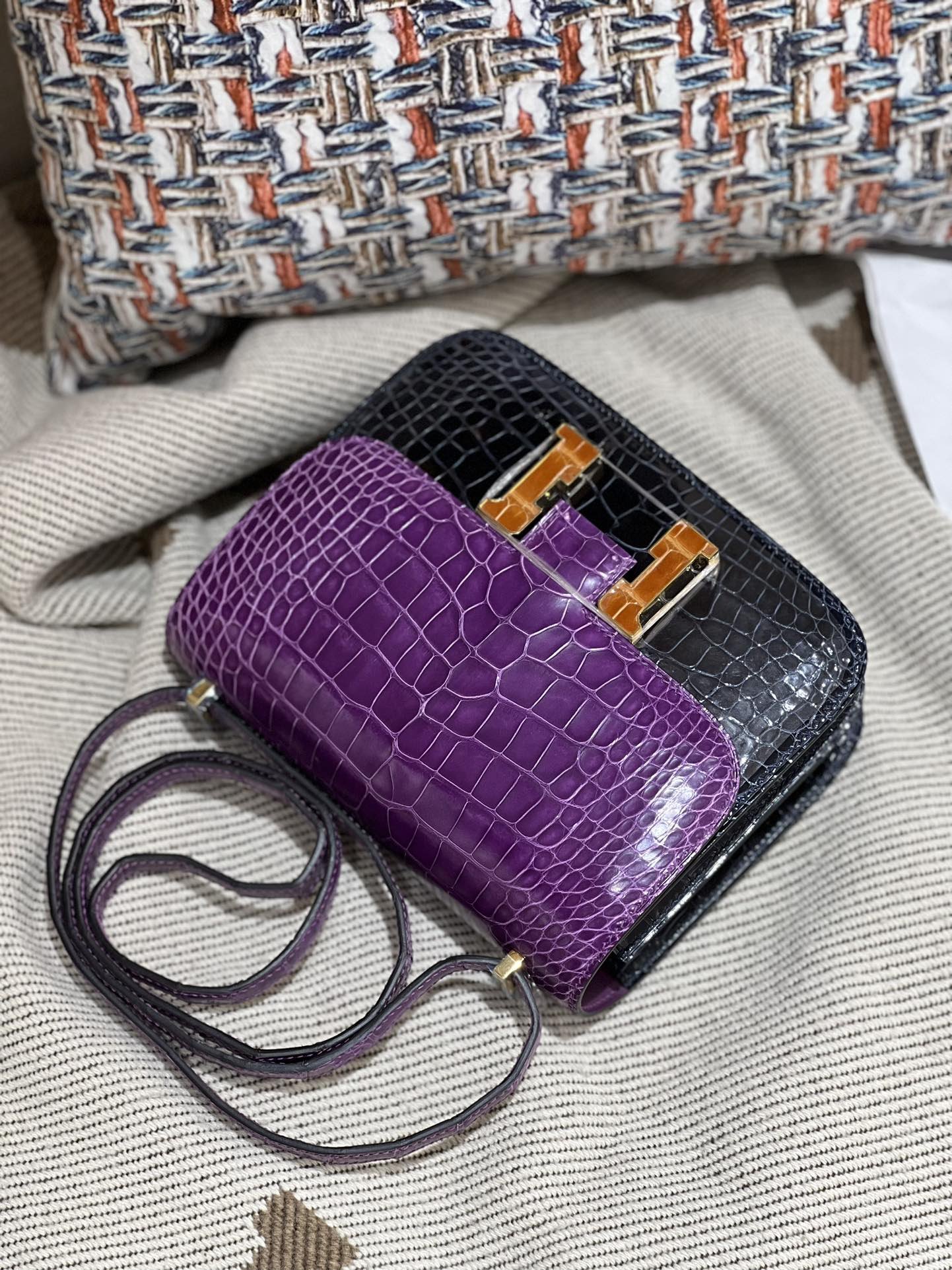 Constance 18 Shiny Crocodile - Image 3