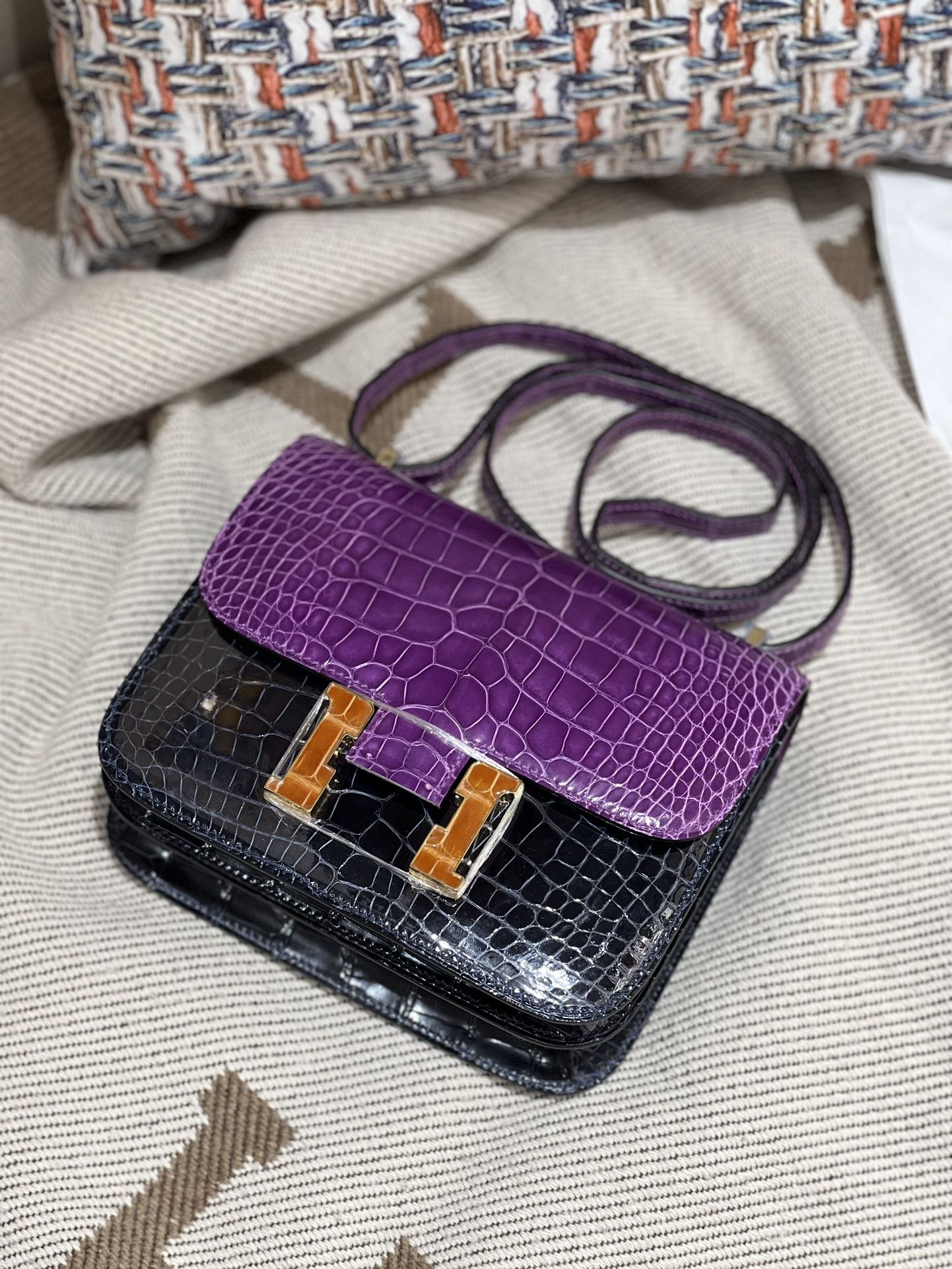 Constance 18 Shiny Crocodile - Image 4