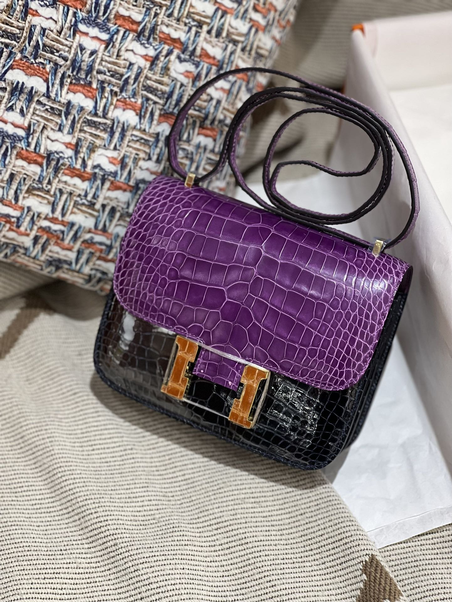 Constance 18 Shiny Crocodile