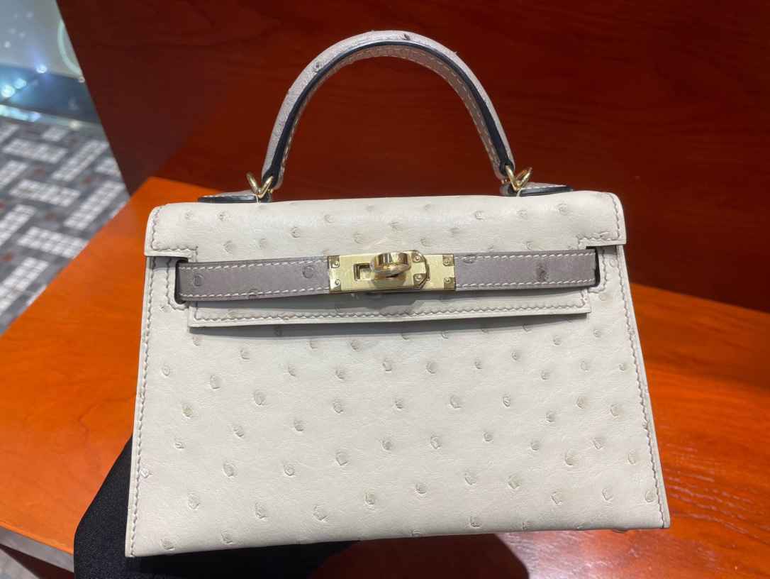 img_6519 Mini Kelly Ostrich GHW - Image 1