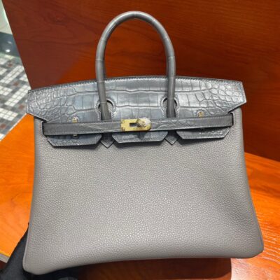 Birkin Touch 25 in Togo & Crocodile
