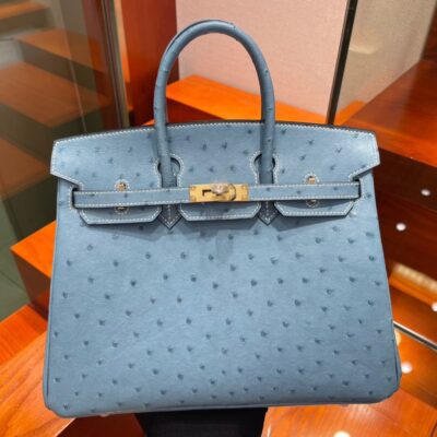 Birkin 25 Blue Ostrich GHW