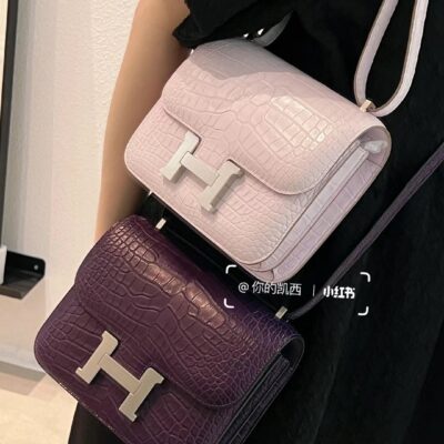 Constance 18 Crocodile