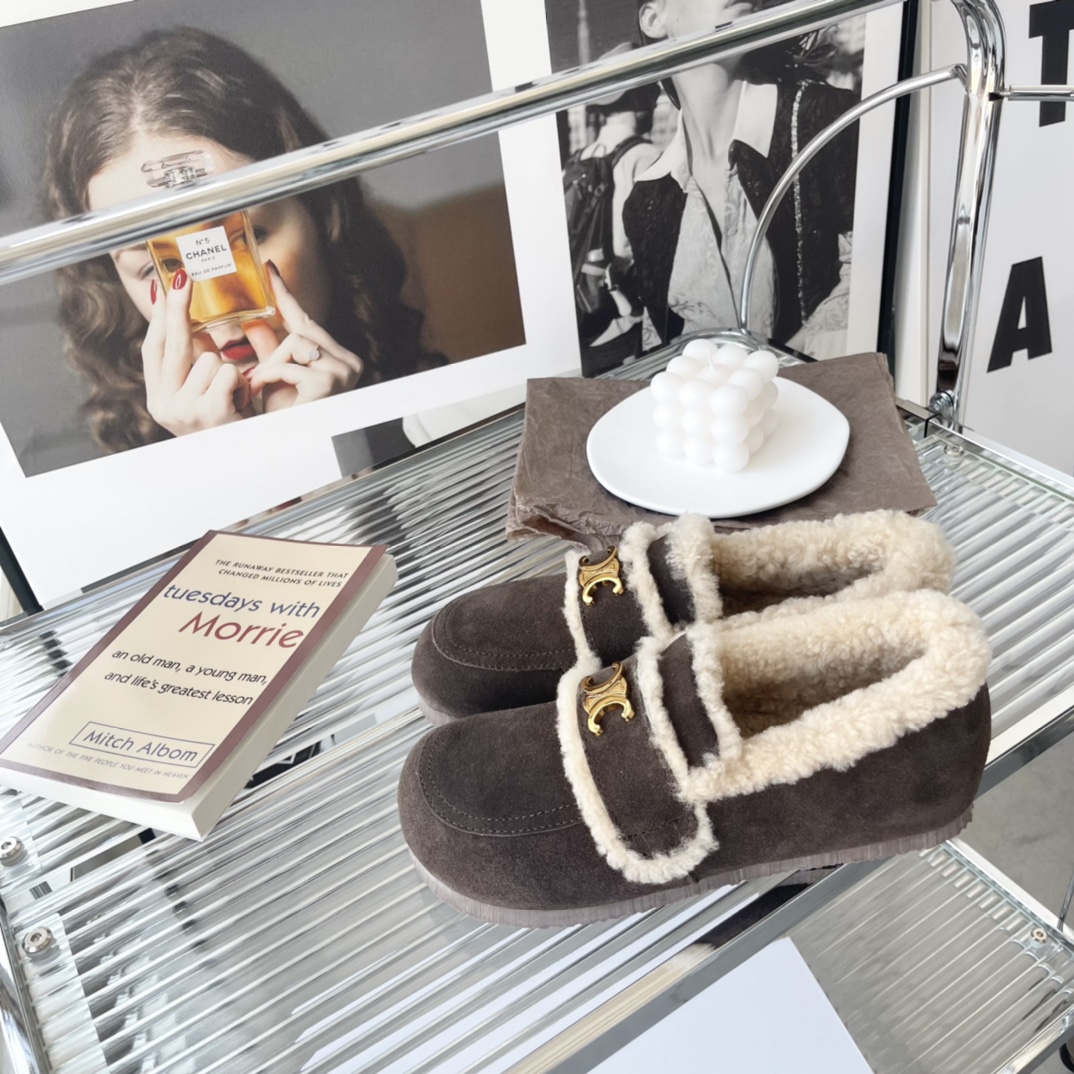 Celine Arc de Triomphe Teddy Shoes - Image 5