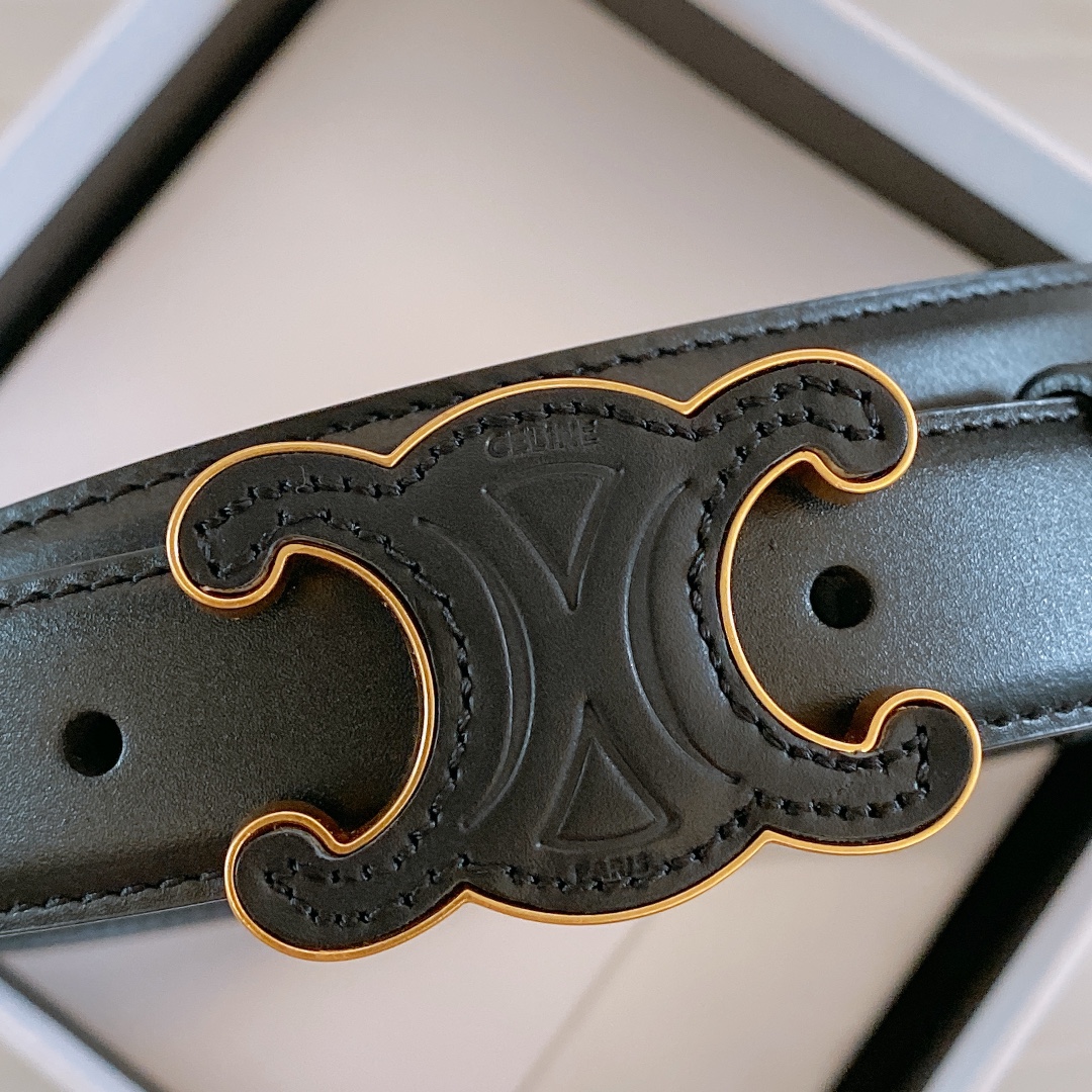 db9bf2_05b371ff30eb4bde892588db1fe6934bmv2.jpg Celine Triomphe Leather Belt - Image 1